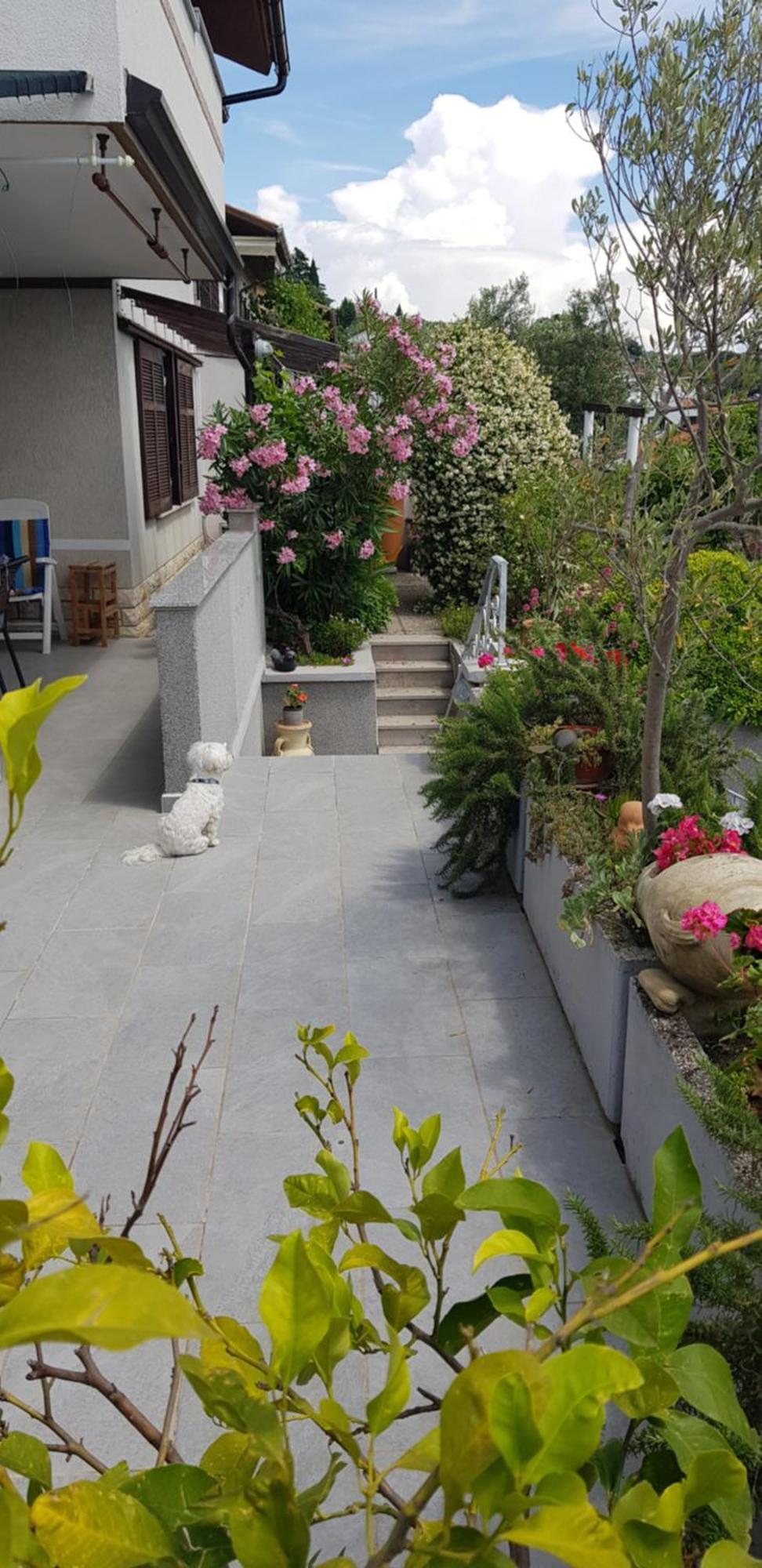 Ferienwohnung Tramontana Lucija Exterior foto
